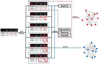 Effective data filtering is prerequisite for robust microbial association network construction